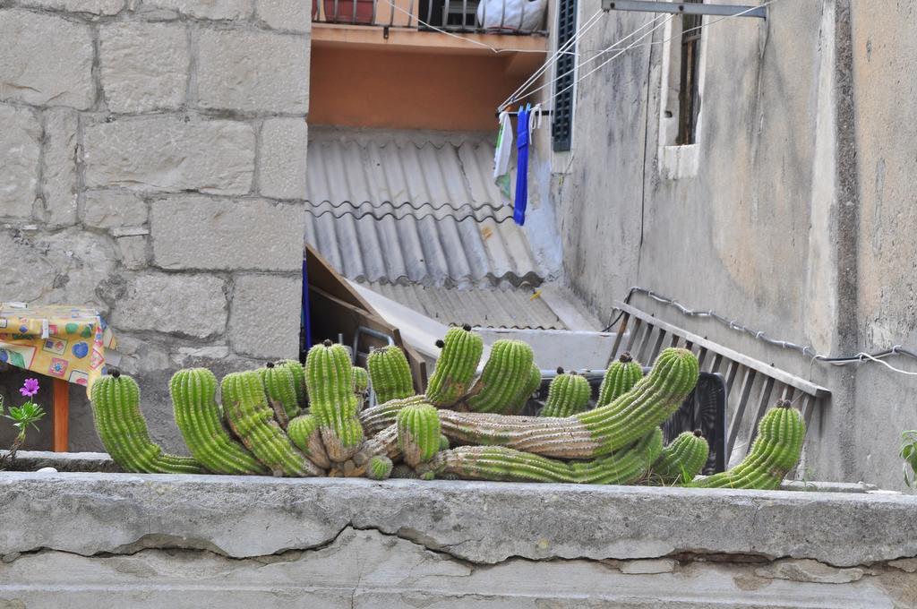 Villa Stagnja Split Cameră foto