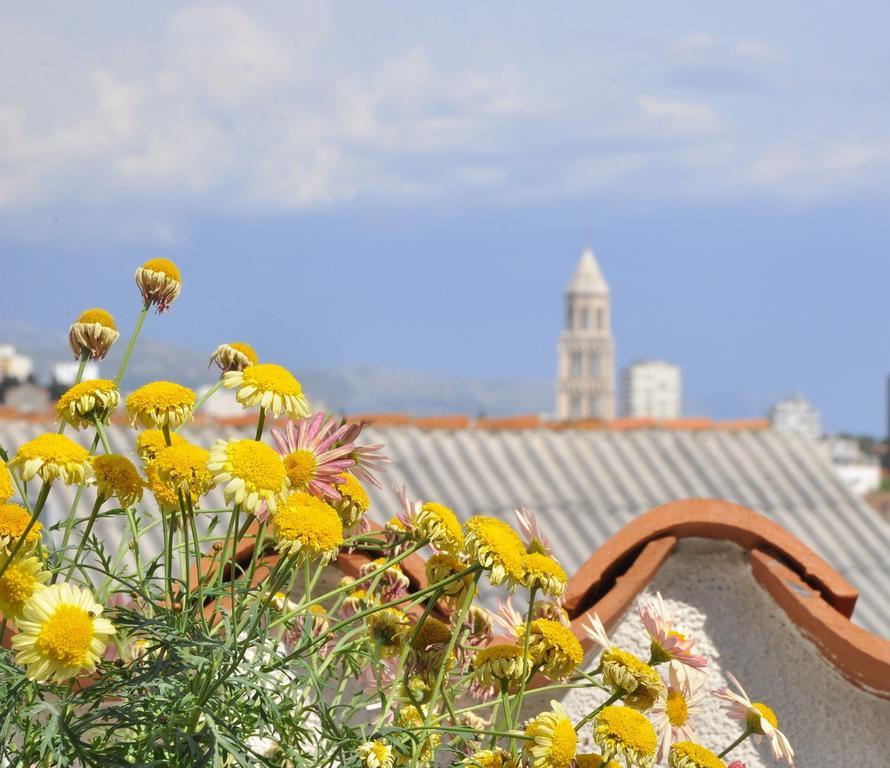 Villa Stagnja Split Cameră foto